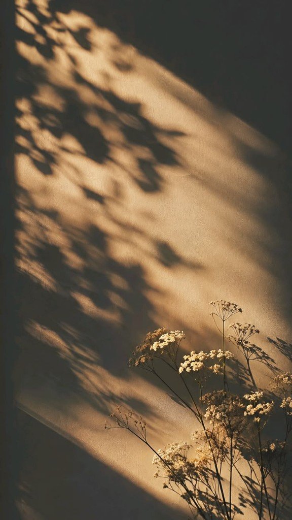 flowers and wall shadows